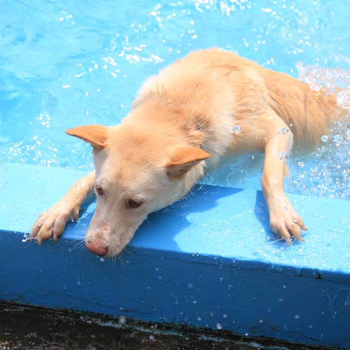 D5a0ed0d e54c 4882 bd98 5835a740d14a