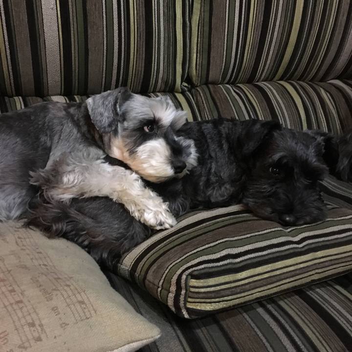 D5a18a84 9e39 47bb 83a9 d5e073eb6bae