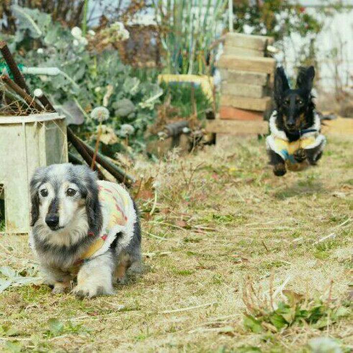 D5a1a2b9 6359 4a7e bb56 1f96a0300fb3