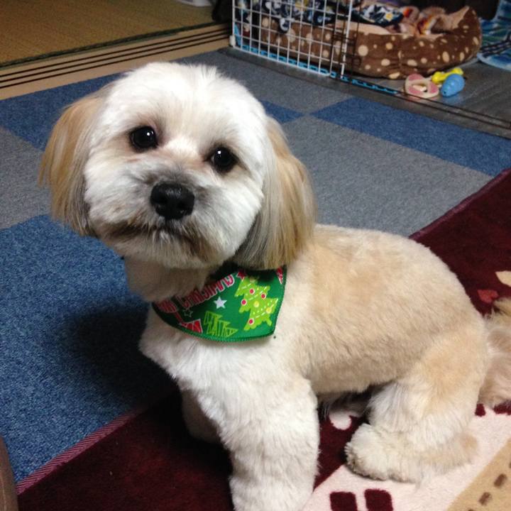 D5a1bb11 eb58 45dc b475 06c8e85e4c03