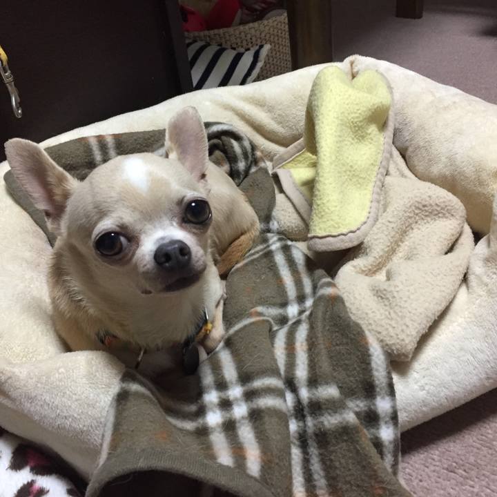 D5a29de7 ebfe 4243 9a3e b073994f2d47