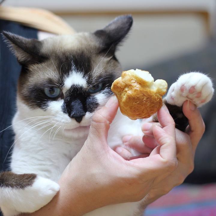 D5a2f9e4 e294 442b a2d3 e63228445c53