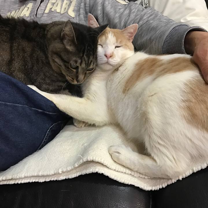 D5a34641 be1e 4e72 97cf cf8a9086f50e