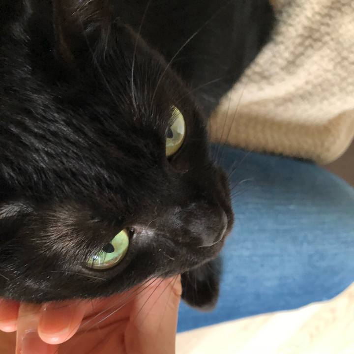 D5a42c7d b198 4112 a732 b0b6200f80ac