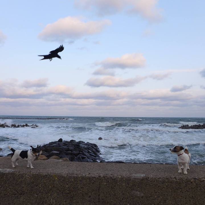 D5a4b340 f71e 4e64 8717 f28a6490b48c