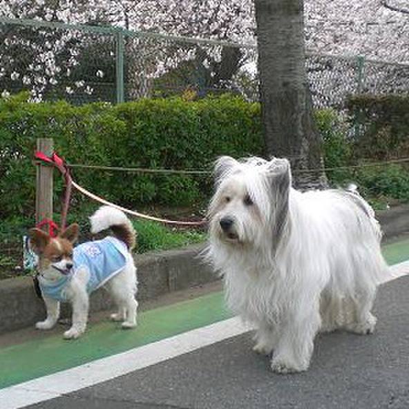 D5a56551 681b 4b1e 9ef1 4b5241d4bf25