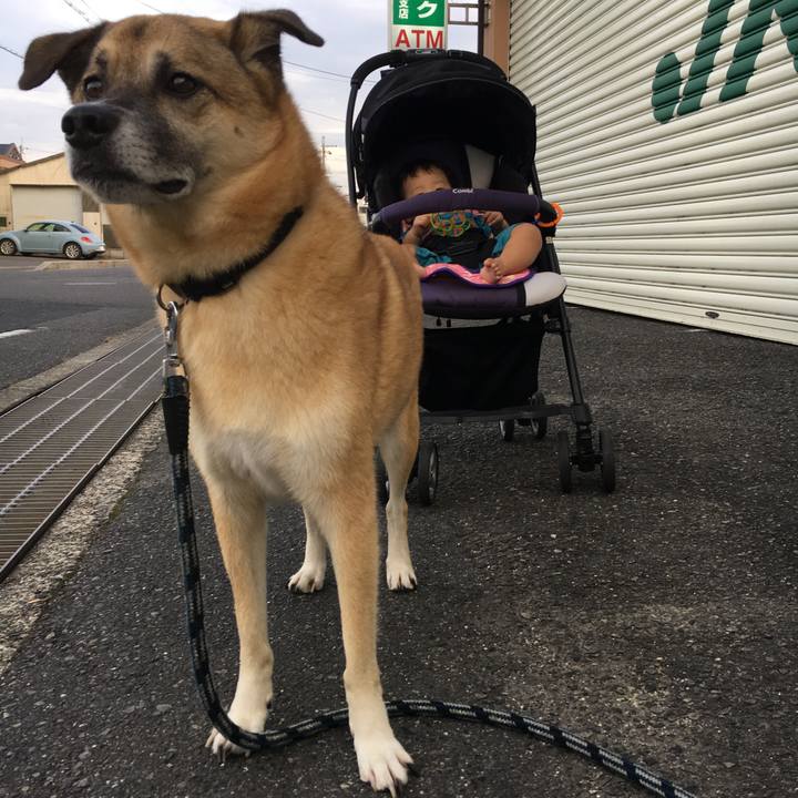 D5a5bfc7 4808 4224 9986 fa446fc71955