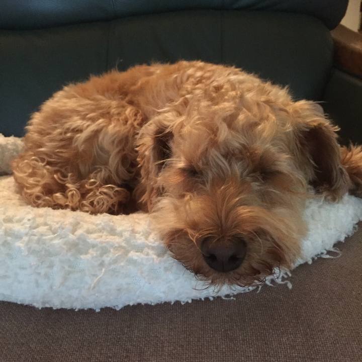 D5a602ae 280a 4881 840c 315a0ed08a3a