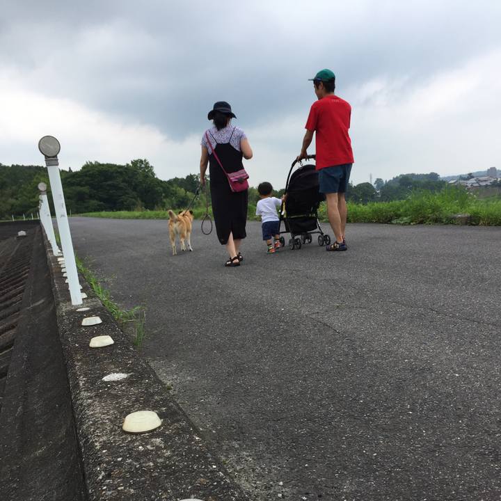 D5a6250c 65de 408a a928 2d9fb7cd4b59