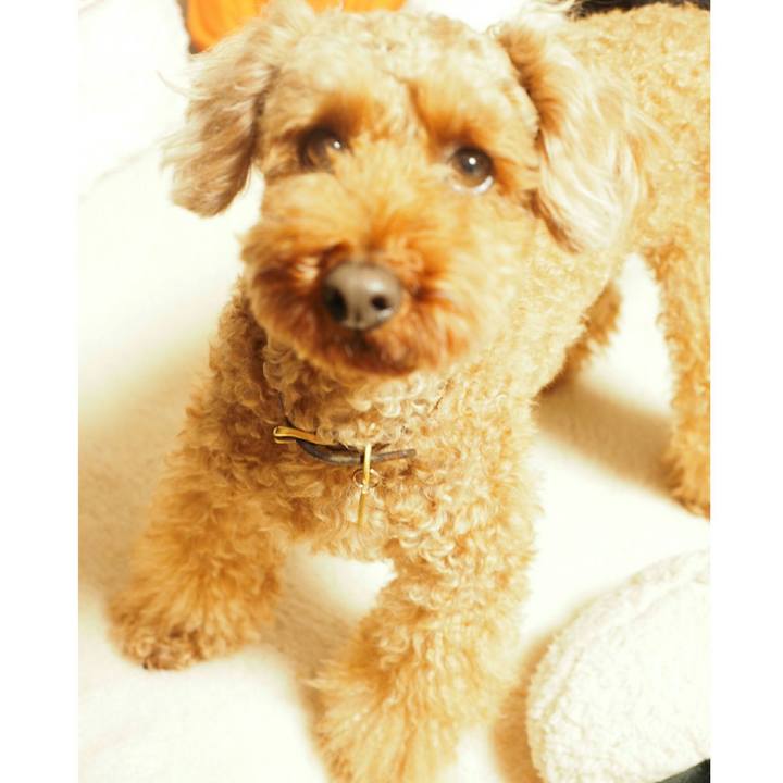 D5a6b449 ec73 4efd be6f fd52ce0116f5