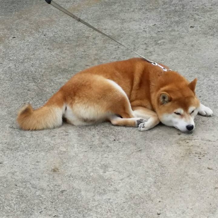 D5a6e04e 2929 48d5 a70e 483c5086f789