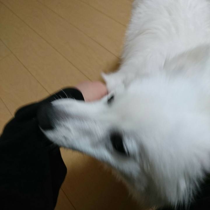 D5a72b8d c654 4c1e 828f 3f9ac243ceec