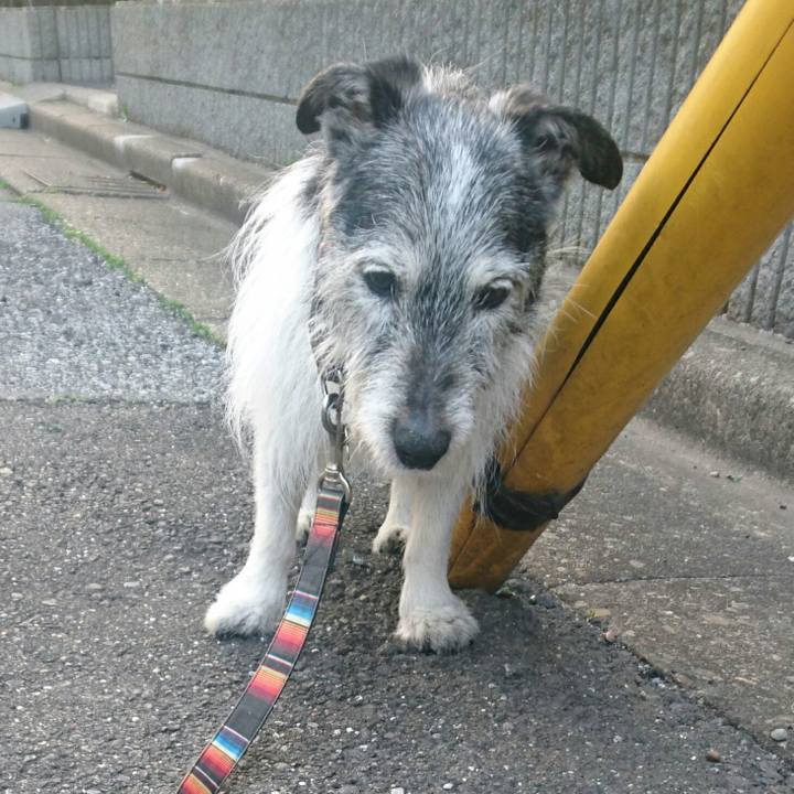 D5a7a5da da26 4612 835d 50fa125ee426