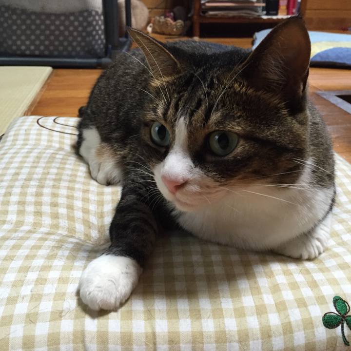 D5a7a60b 8d03 4147 8aee 0ca1720a5af9