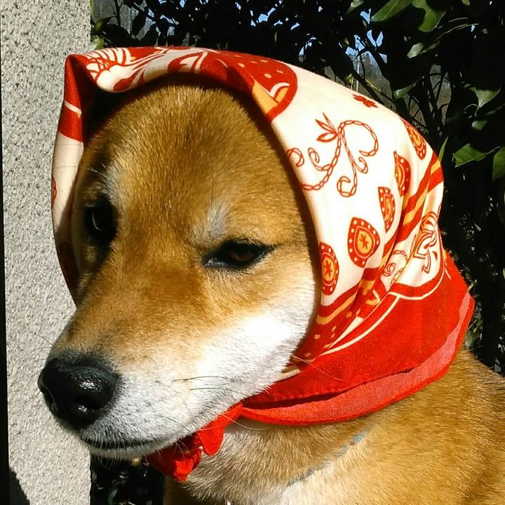 D5a874e3 fb48 4748 a09b d39a822e0377