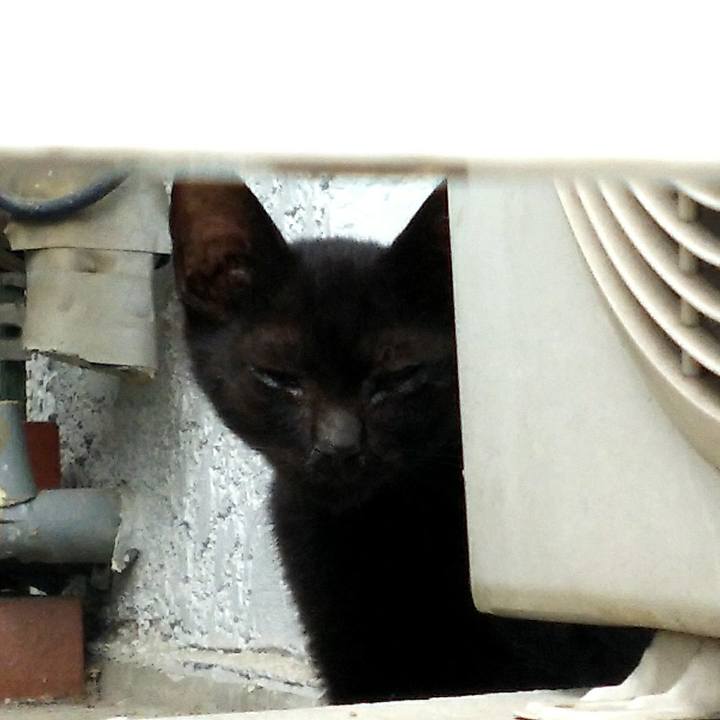 D5a8ae89 3fb0 4e52 917d 807b6eb62ea0