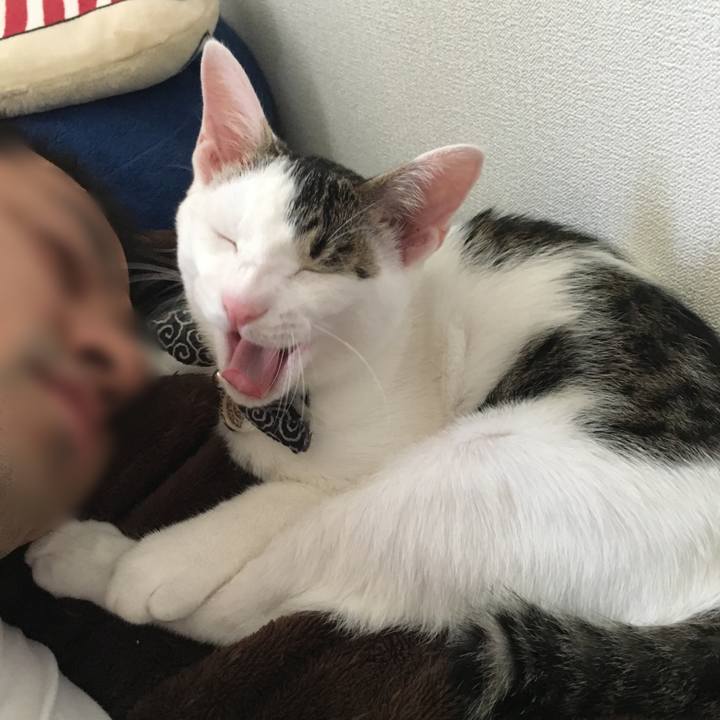 D5aa20db 93da 4e88 9d3b 974899419c15