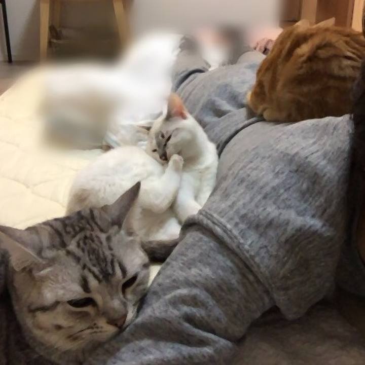 D5ab595a f6c5 4753 aa9d 508a920fe249