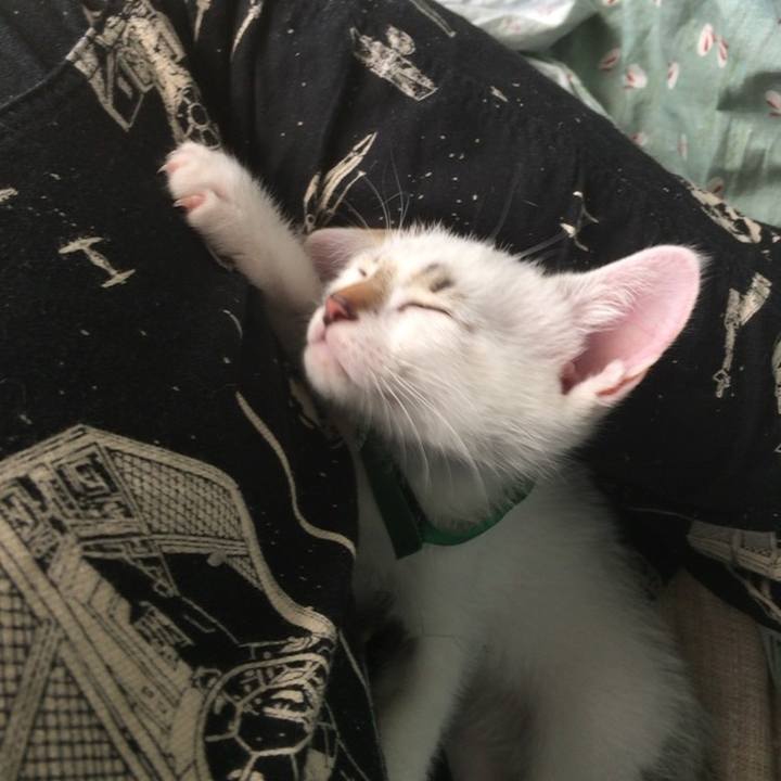 D5aba10c 3b73 4ffe b231 ebdddb25ebb8