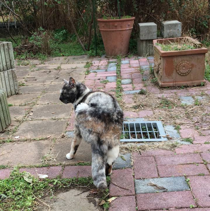 D5abcd90 27e5 461d 9829 c6eda30cc38c