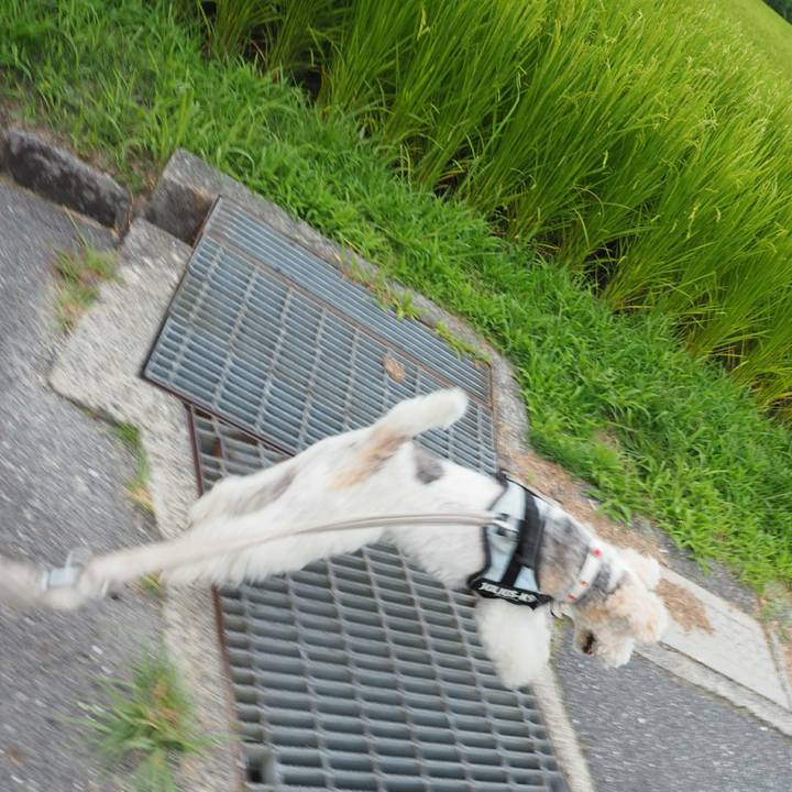 D5abecbd fb47 4b3d a352 564254afc1a5