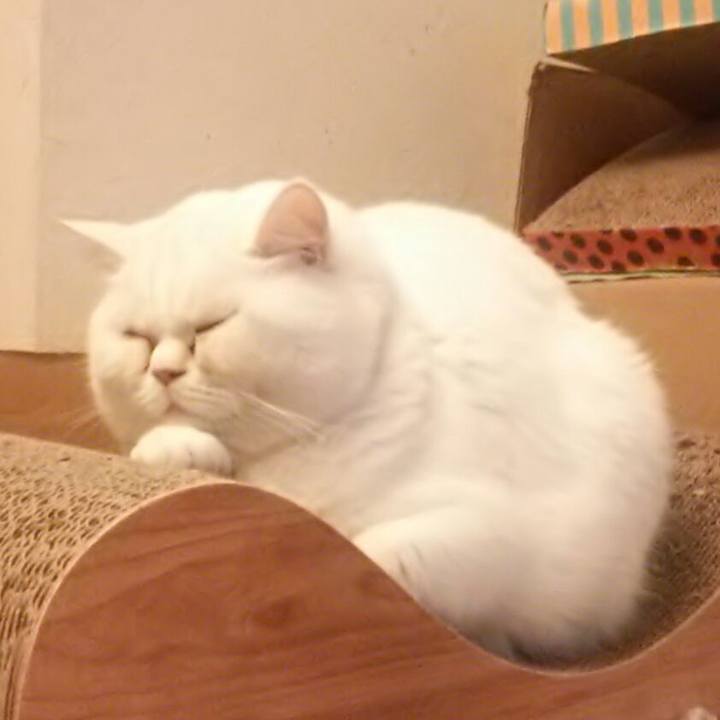 D5ac5dce bed8 4c37 b4b5 1c34eb4f22c3