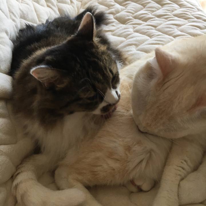 D5ac7663 6885 420b a358 5ba36a3bfa04