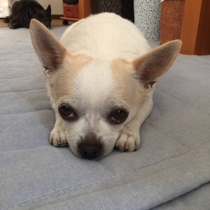 D5ad9907 5a28 4199 9c61 e4abc64615ef