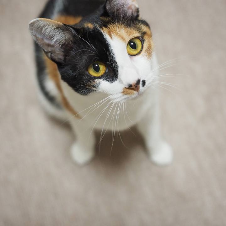 D5ad9d5a d1f5 43fb aea6 b75fffcc74db