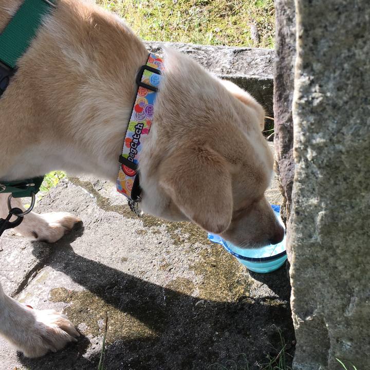 D5adabae 4201 4dad a63a a875ae84f95d