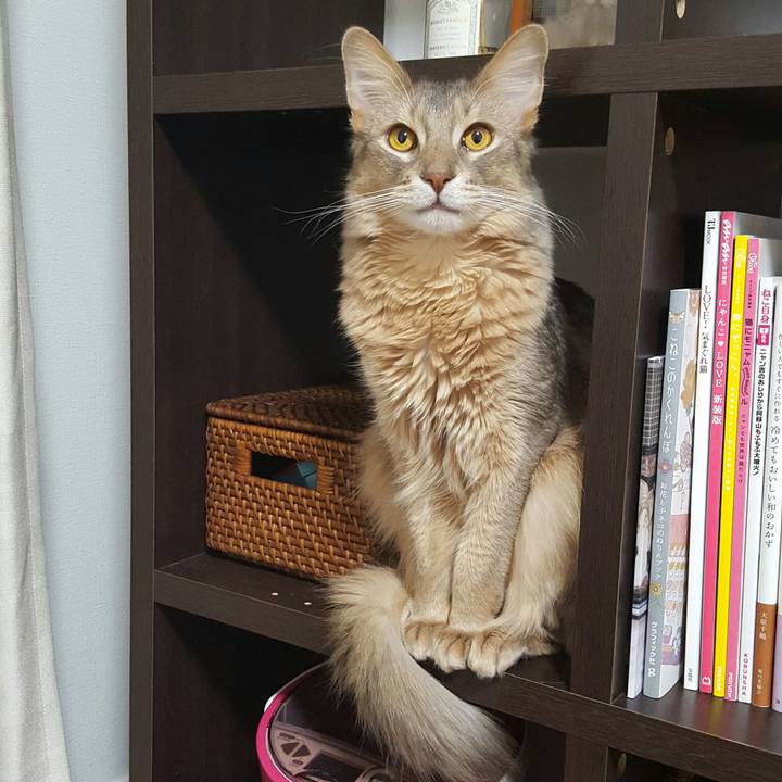 D5ae73aa 62d8 41fb 825d 964980cf6da3