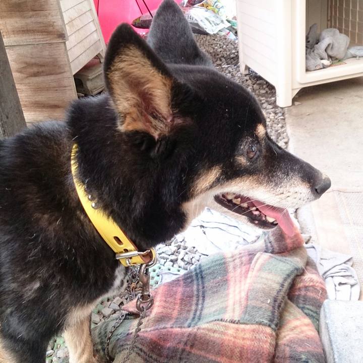 D5aeeee9 8fe1 49f6 a519 520187c099ed