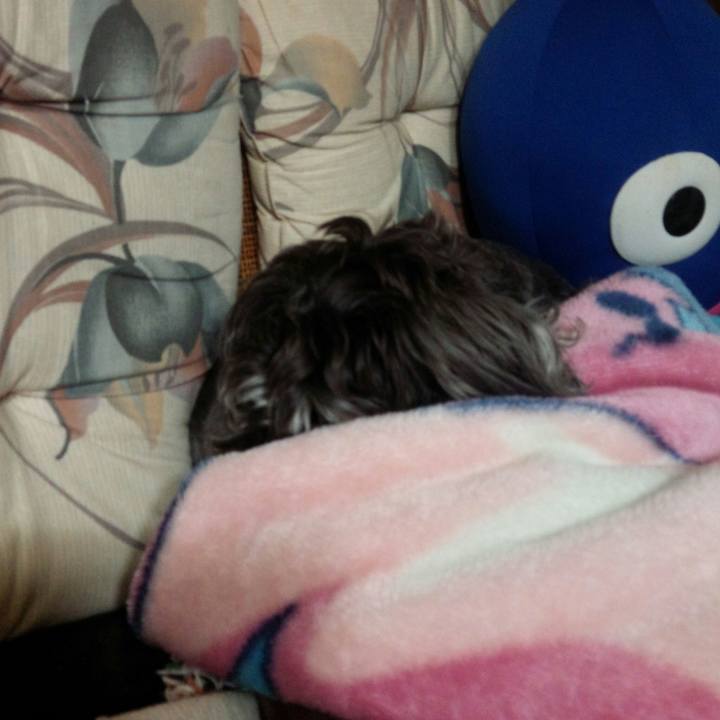 D5af751f 759f 4f79 b9ff 7dd08041fc14