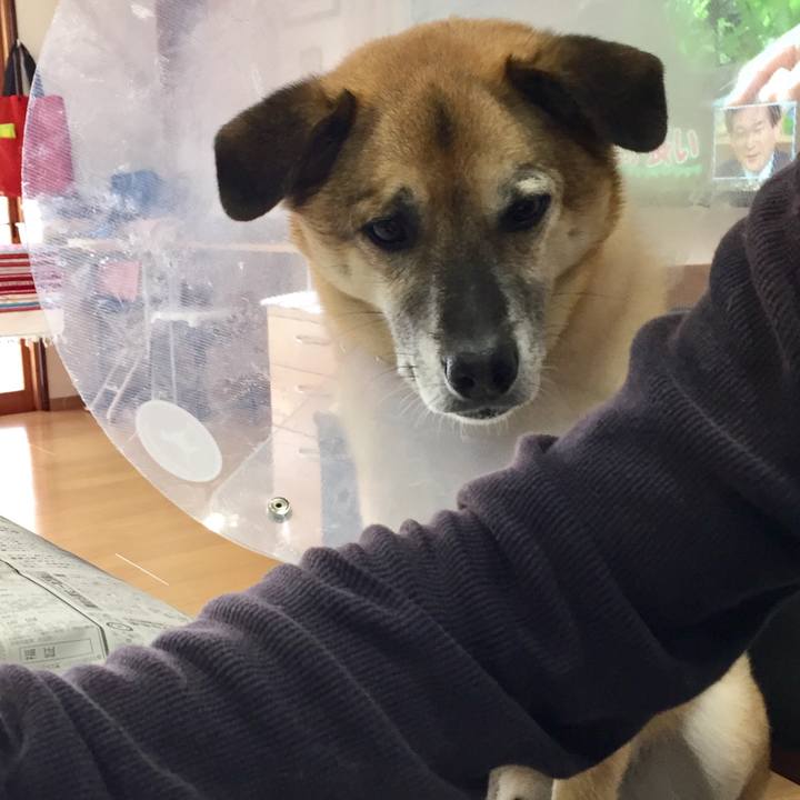 D5afd8e7 2b1b 4a57 9756 f22bbf7c3a64