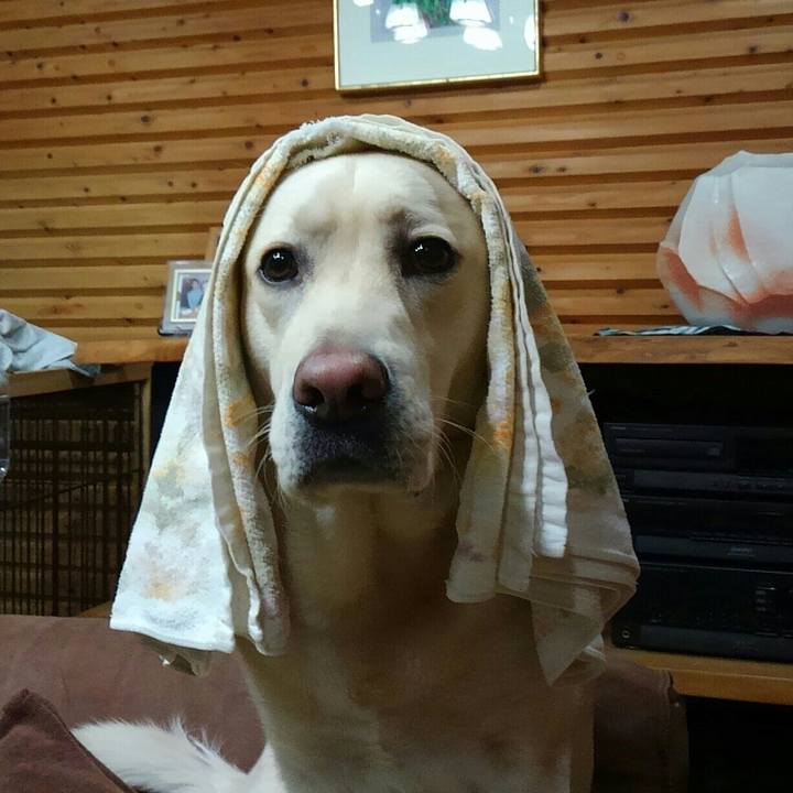 D5b02f40 3d58 4a52 881e 3477dd6015db