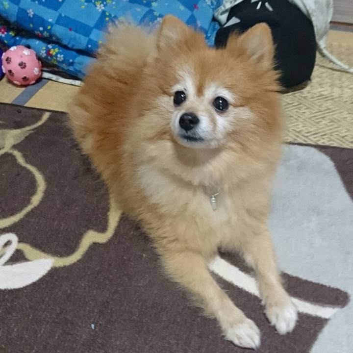 D5b04f7b 4a57 47d7 8493 7484d4cd7af6