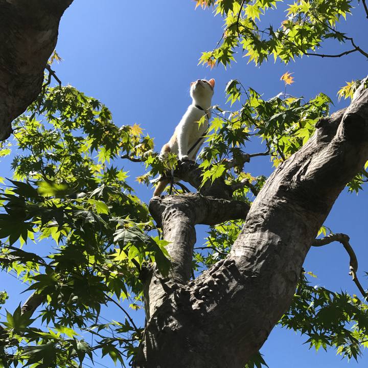 D5b0eff9 cff6 470e b793 f955228027d9