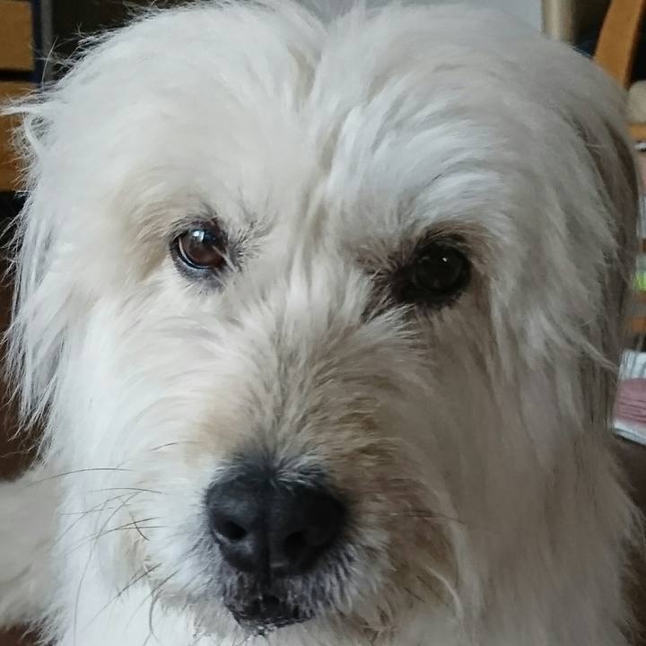 D5b12edc 7322 4a2b 9150 34d81f09ab06