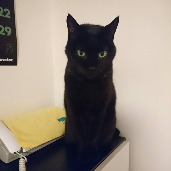 D5b14492 7990 4a27 9d91 d9e6c36cc423