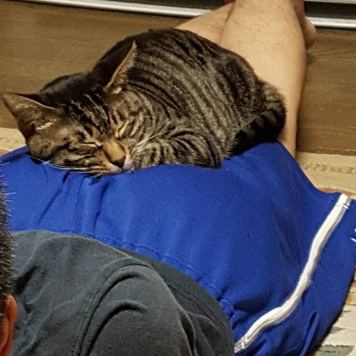 D5b21701 0945 437f a20f 4e38a485131b