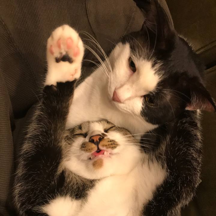 D5b22640 3637 4879 a1b2 501387b12119