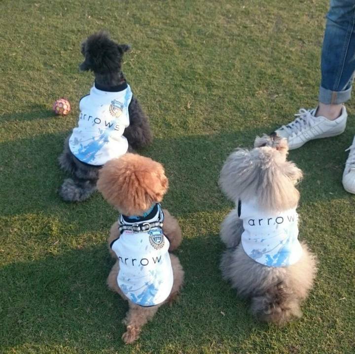 D5b2bd68 e7a1 4f77 ba14 c74034e11a67