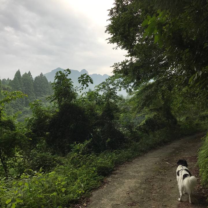 D5b2ef76 7001 451f 8077 97e61d47e04e