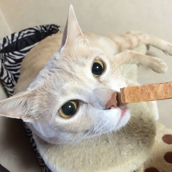 D5b300ac c7a0 40f2 bf8f bc51dda5b251