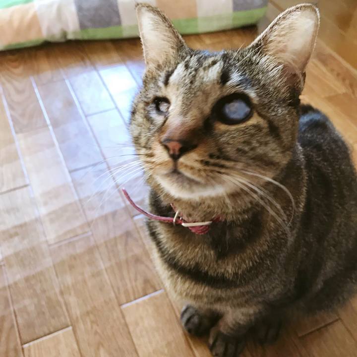 D5b30643 ac5e 4175 8634 1413ee813944