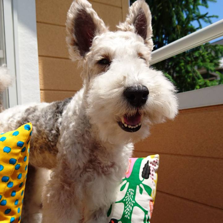 D5b31d6e e6b3 4988 9cc3 202fd2283e5d