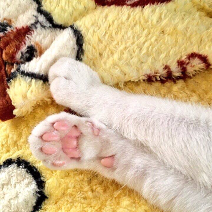 D5b34f97 9be4 4913 970c a0a0741f8ec5