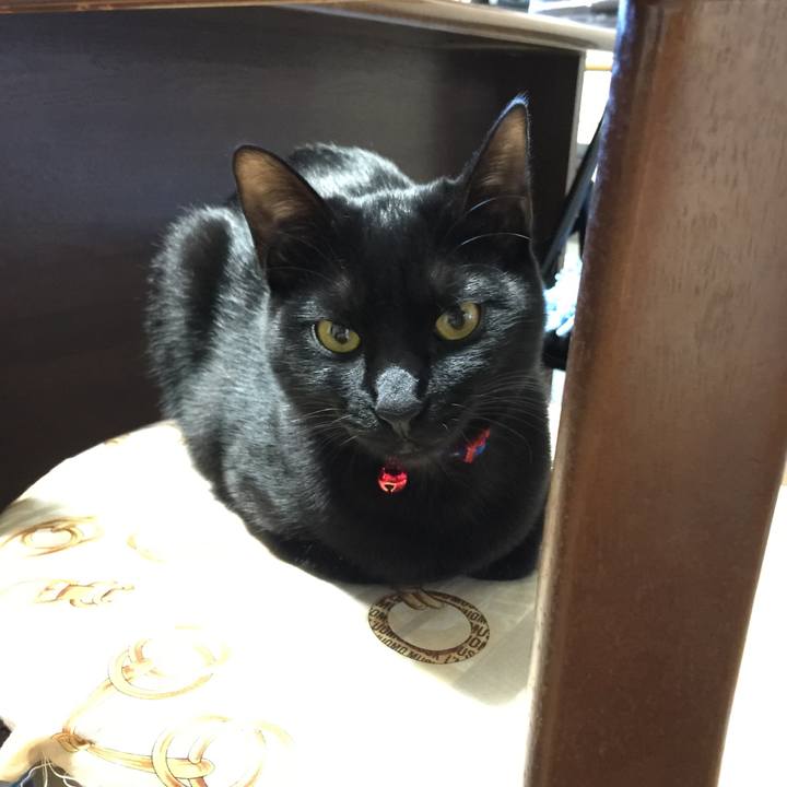 D5b3644f 359d 4fdf 9328 fdbfa36fc3ce