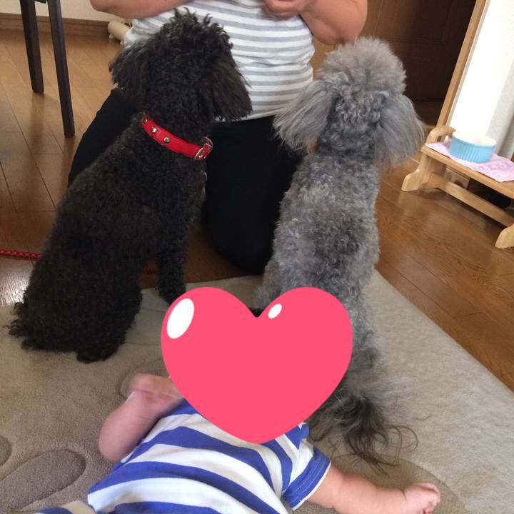 D5b38054 c674 447c b525 b36a5e2ce87c