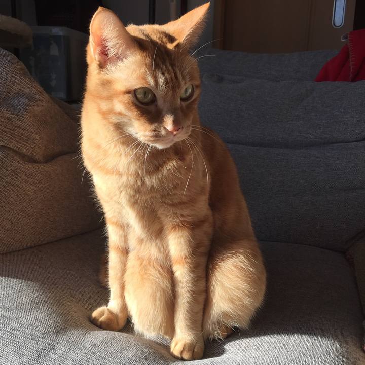 D5b3e44f 27d0 4444 aa7e 56349a338e67